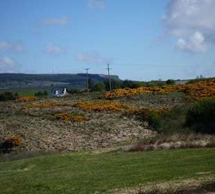 Burren Landschaft und Connemara