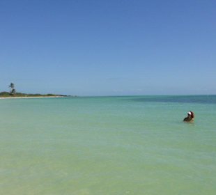 Bahia Honda