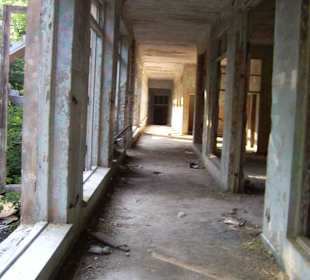 Zakład dla Nerwowo i Psychicznie Chorych Żydów Zofiówka