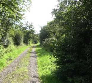 Themenweg Kaiserweg Zimmern