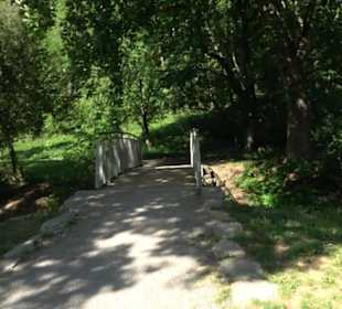 Kurpark Bad Niedernau