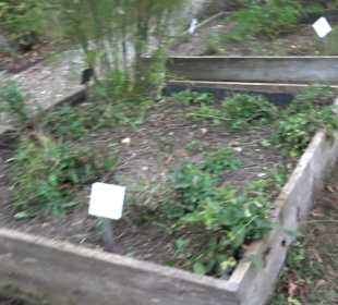 Klosterpark Altheim