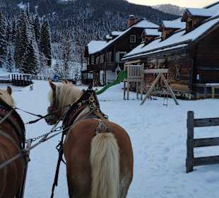 Pferdeschlittenfahrt Kleinarl