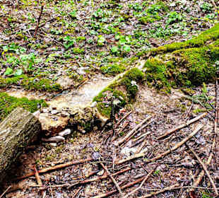 Entlang der Rinne