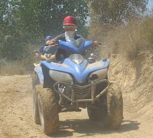 Nico ist hart im Nehmen