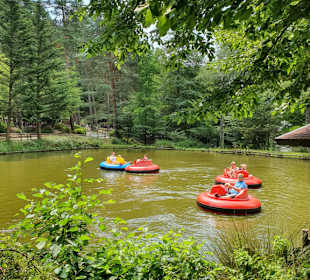 Kurpfalz-Park - Tretboot