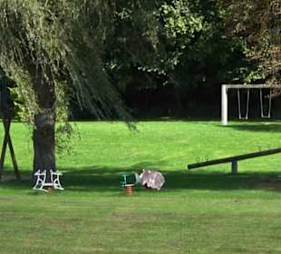 Schaukelweg an der Donau