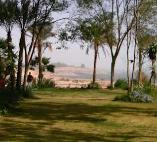 Ausflug Abu Simbel Gartenanlage