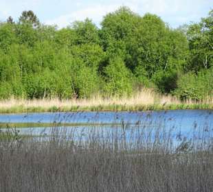 Impressionen vom Bederkesaer See