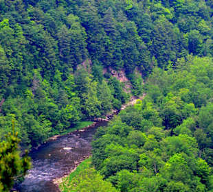 Pine Creek Gorge, Wellsboro, Pennsylvania