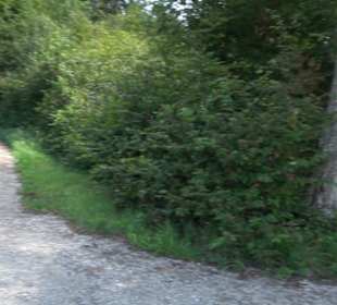 Wanderparkplatz Reutlinger Weg