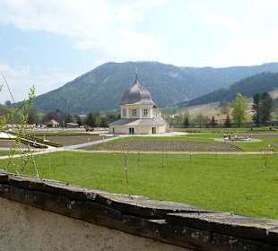 Ausblick über die Mauer in den Stiftsgarten