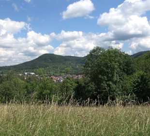 Kunst- und Sinnespfad