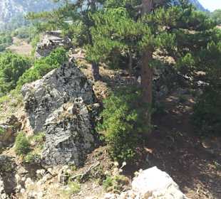 Ausflug Taurusgebirge