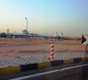 Rückfahrt Dolphintour