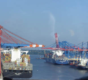 Hamburg - Auge in Auge mit den Giganten