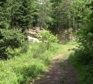 Wanderweg - Alter Steinbruch Pfaffenberg Runde