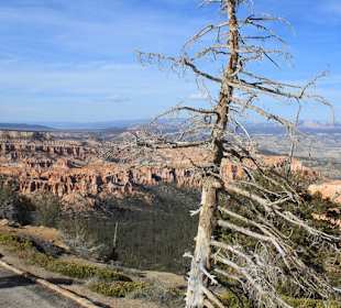 Bryce Canyon
