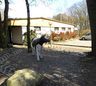 Restaurant Cafe Am Springhorstsee