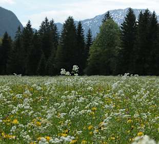 Panoramaweg