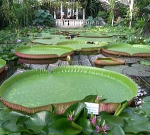 Gewächshäuser Botanischer Garten