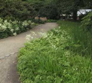 Mittelmeerterrassen - Alter Botaischer Garten