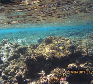 Schnorcheln in der Tondoba Bay