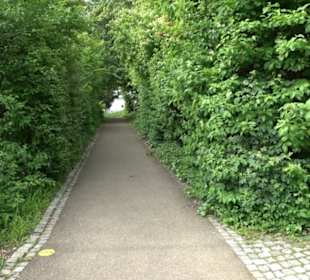 Kunst- und Sinnespfad