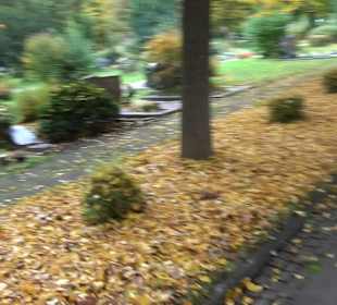 Hauptfriedhof Friedrichshafen