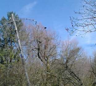 Tierpark Hellabrunn in München