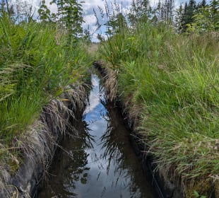Wasserwanderweg „Buntenbocker Teiche“