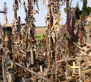 Wust von Holzkreuzen