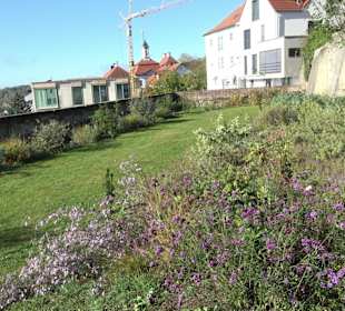 Ehemalige Benediktiner-Abtei Kloster Oberelchingen