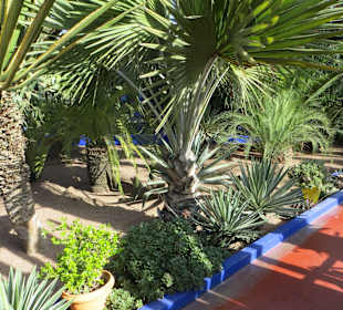 Eindrücke aus dem Jardin Majorelle Garten