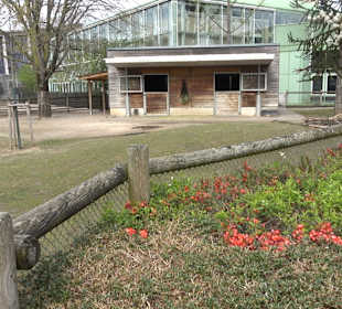Zoologischer Stadtgarten