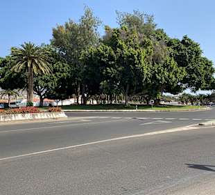 Inselrundfahrt Gran Canaria