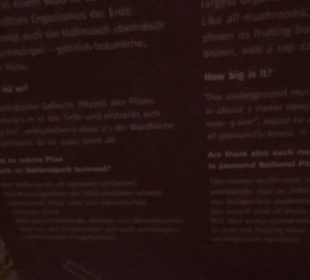 Erlebniswelt