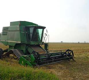 Mähdrescher mit speziellen Raupenfahrwerk