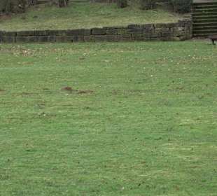 Sportanlage Schönbuch