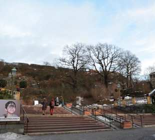 Freilichtmuseum Skansen
