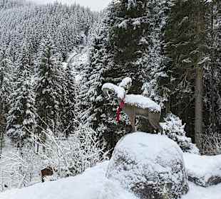 Krimmler Wasserfälle