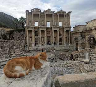 Amphiheater von Ephesos