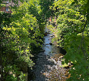 Forellenteich Ilsenburg