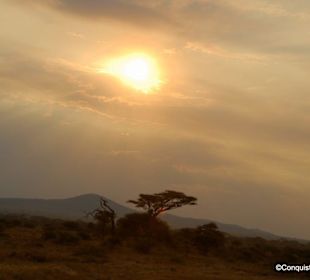Sonnenuntergang in der Serengeti