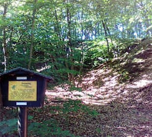 Natur und Vogellehrpfad Längwieser Wald Dittweiler