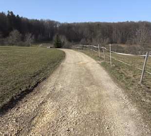 Premiumwanderweg Hohenwittlingensteig