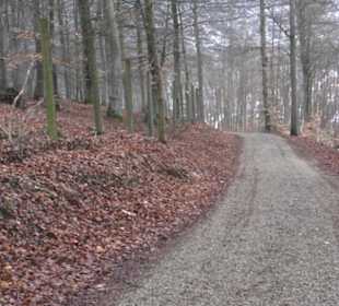 Wildpark Eichert