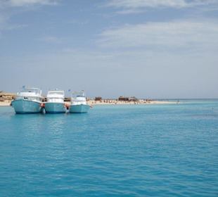 Schnorcheltour Gyfton Island