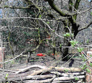 Tierpark Hellabrunn in München