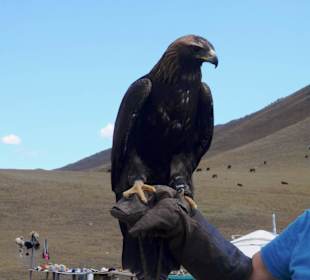 Auf dem Weg zum Gorkhi Terelj Nationalpark